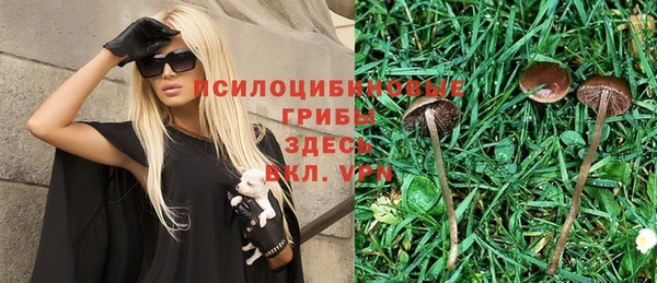 сатива Баксан