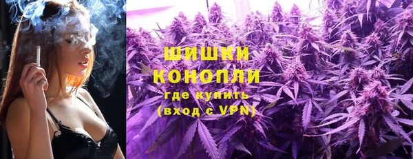 сатива Балахна
