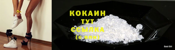 сатива Баксан
