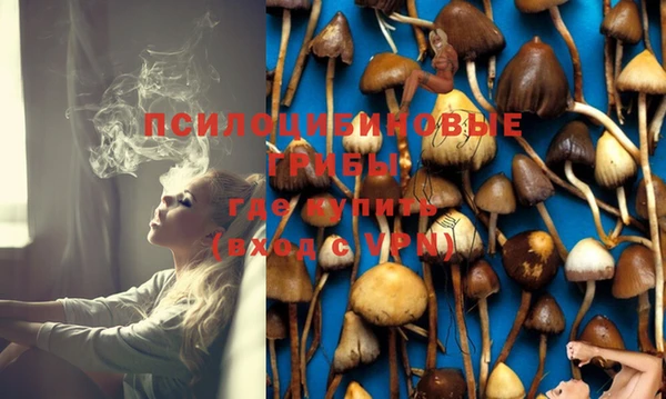 дурь Магас