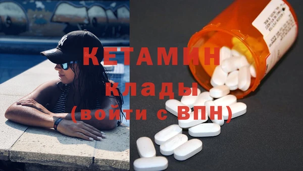 сатива Балахна
