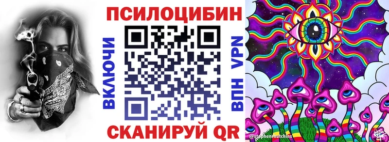 Псилоцибиновые грибы Psilocybine cubensis  наркошоп  Дудинка 